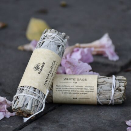 salvia blanca con flores en oaxaca