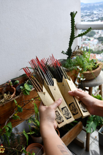 cajas de varas de inciensos sostenidas con las manos