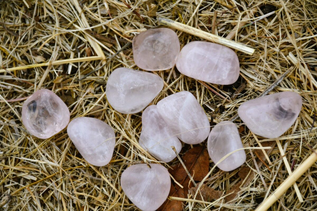 cuarzos rosas sobre pasto seco