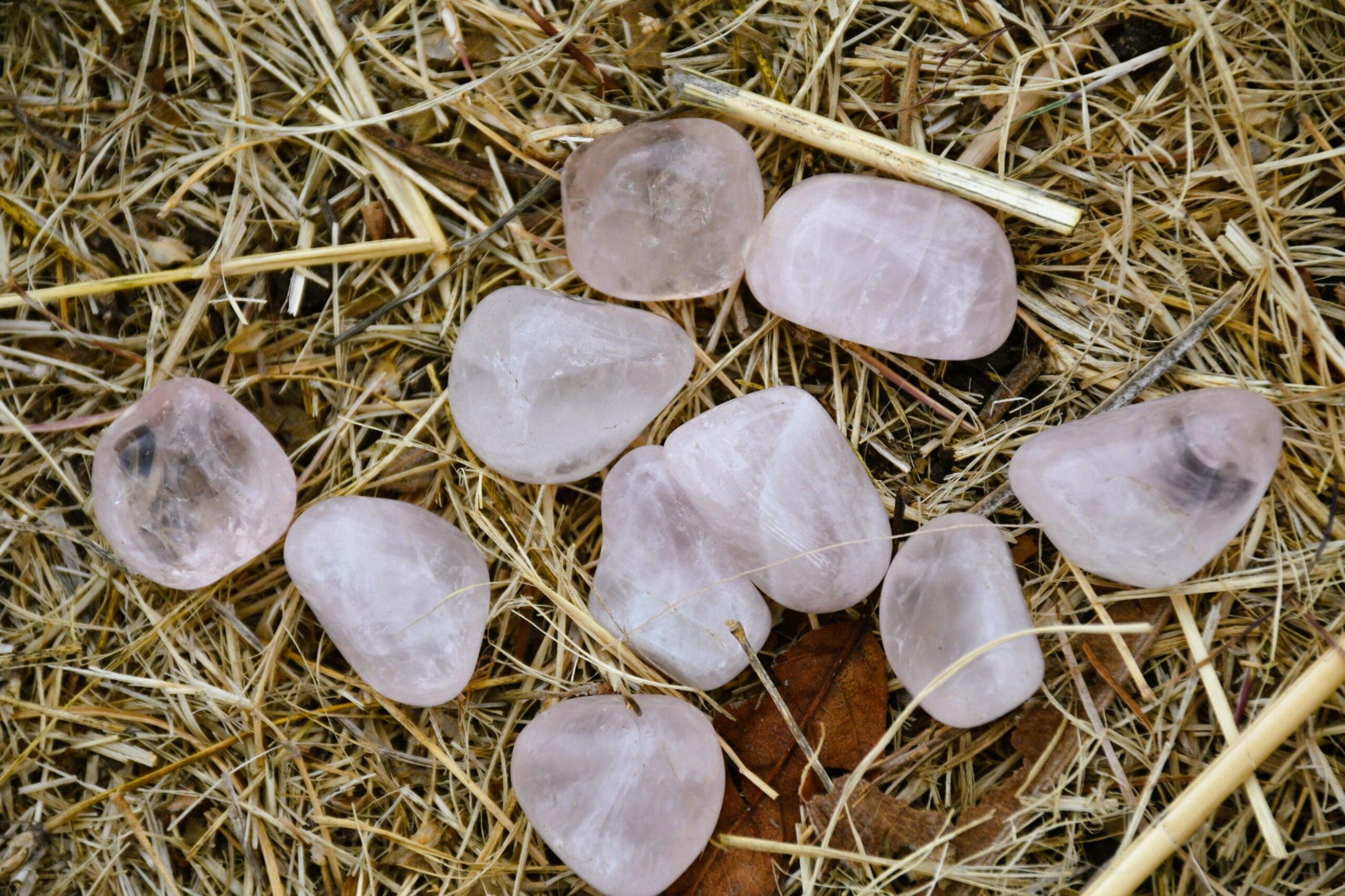cuarzos rosas sobre pasto seco